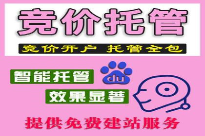 竞价排名案例：优化广告预算分配